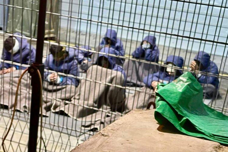 Guard describes abuse: Palestinian deaths in Israeli custody have surged